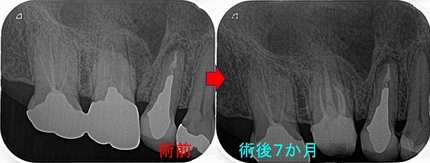 2026 EEdental ATI (3).jpg