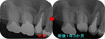 2026 EEdental ATI (4).jpg