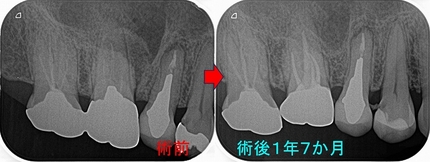 2026 EEdental ATI (5).jpg