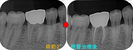 2026 EEdental HOY (6).jpg