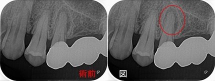 2026 EEdental SUK (1).jpg