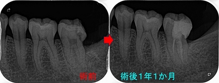 2026 EEdental TAY (3).jpg
