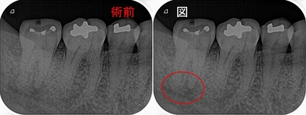 2026 EEdental US(3).jpg