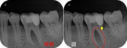 2026 EEdental YAA (1).jpg