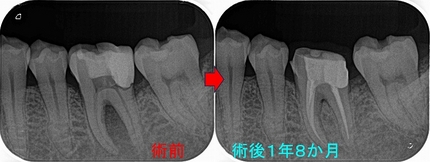 2026 EEdental YAA (4).jpg