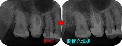 2025 EEdental FRI (2).jpg
