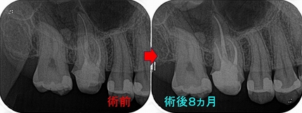 2025 EEdental FRI (3).jpg