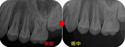 2025EEdental URI (2).jpg