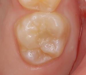 2025EEdental URI (4).jpg