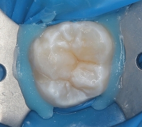 2025EEdental URI (5).jpg