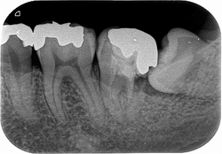 2026 EEdental MA.jpg