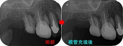 2026 EEdental TAK (2).jpg