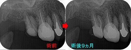 2026 EEdental TAK (3).jpg