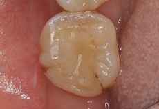2026 EEdental YOA (2).jpg