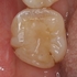 2026 EEdental YOA (2).jpg