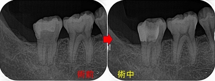 2026 EEdental YOA (3).jpg