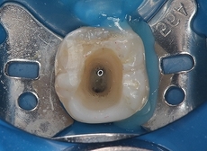 2026 EEdental YOA (4).jpg