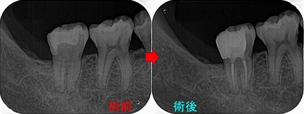 2026 EEdental YOA (5).jpg