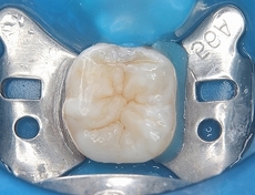 2026 EEdental YOA (6).jpg