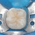 2026 EEdental YOA (6).jpg