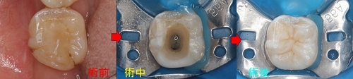 2026 EEdental YOA (7).jpg
