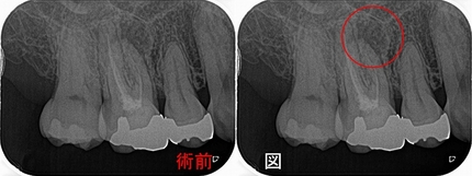 2026 EEdental AZY (1).jpg