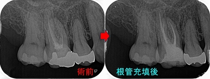 2026 EEdental AZY (2).jpg