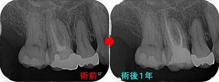 2026 EEdental AZY (3).jpg