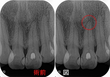 2026 EEdental HAM (1).jpg