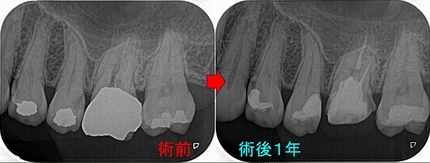 2026 EEdental HOT (3).jpg