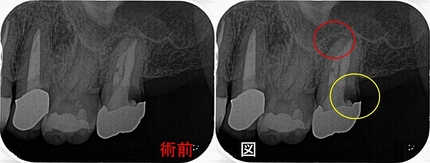2026 EEdental ITA (1).jpg
