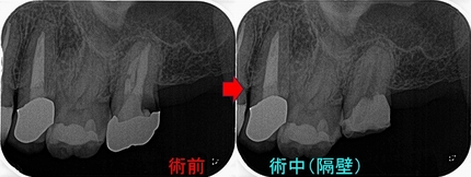2026 EEdental ITA (2).jpg