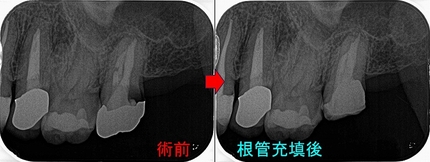 2026 EEdental ITA (3).jpg