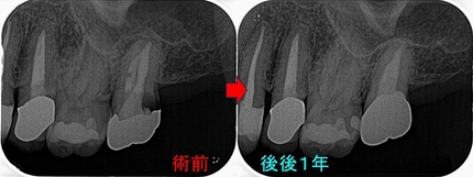 2026 EEdental ITA (4).jpg
