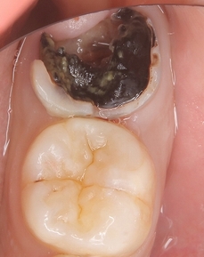 2026 EEdental NAY (2).jpg