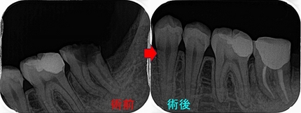 2026 EEdental NAY (3).jpg