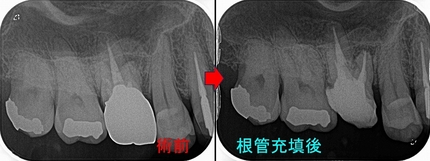 2026 EEdental SUS (2).jpg