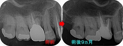 2026 EEdental SUS (3).jpg