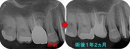 2026 EEdental SUS (4).jpg