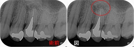 2026 EEdental URG (1).jpg