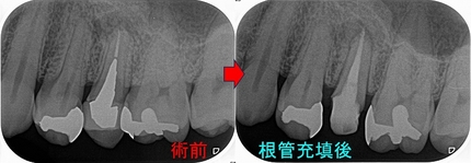 2026 EEdental URG (2).jpg