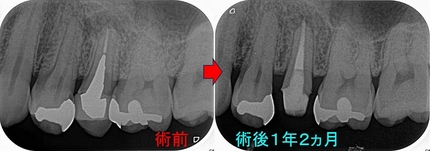 2026 EEdental URG (3).jpg