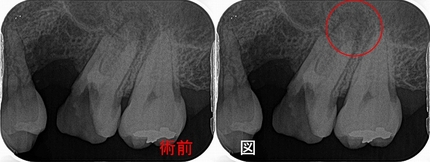 2026 EEdental UTS (1).jpg