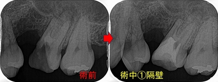 2026 EEdental UTS (2).jpg