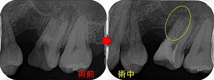 2026 EEdental UTS (3).jpg