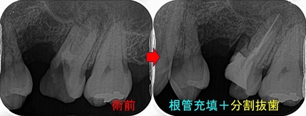 2026 EEdental UTS (4).jpg