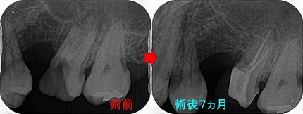 2026 EEdental UTS (5).jpg