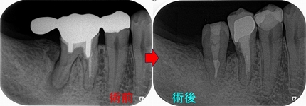 2026 EEdental FUD (5).jpg