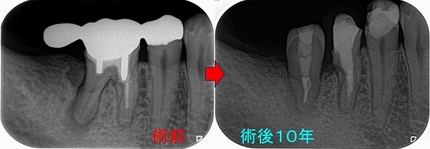2026 EEdental FUD (6).jpg