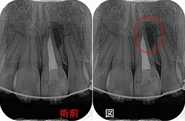 2026 EEdental MAA (1).jpg